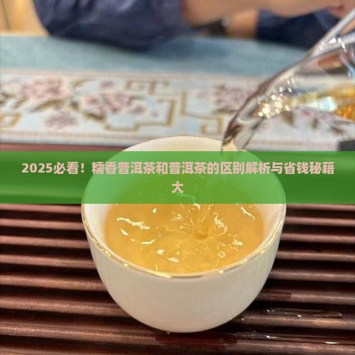 糯香普洱茶和普洱茶的区别