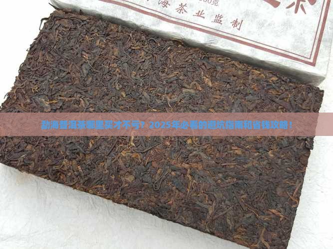 勐海普洱茶哪里好卖啊多少钱