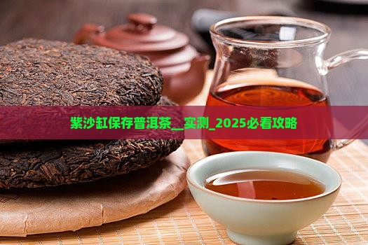 紫沙缸保存普洱茶