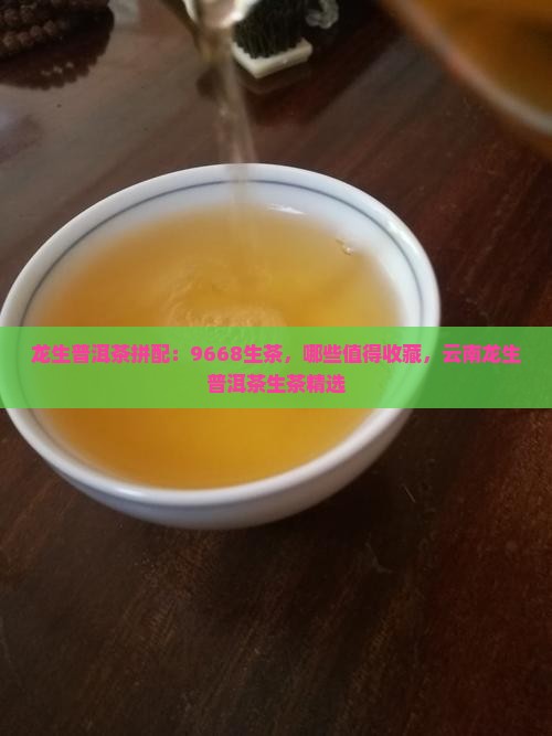 龙生普洱茶拼配大师