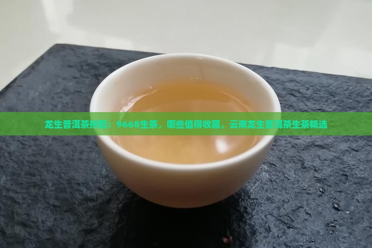 龙生普洱茶拼配大师