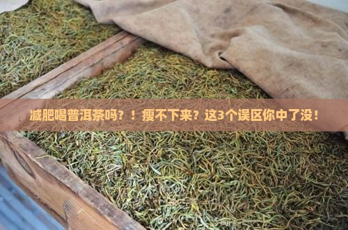 减肥喝普洱茶吗