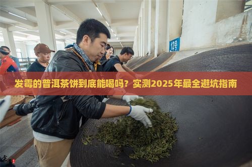 发霉的普洱茶饼有什么功效