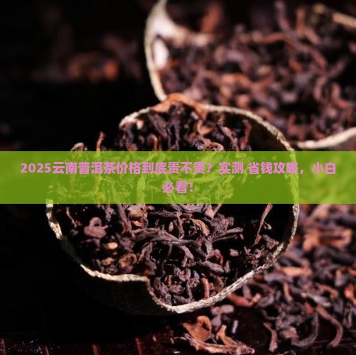 云南普洱茶价钱如何