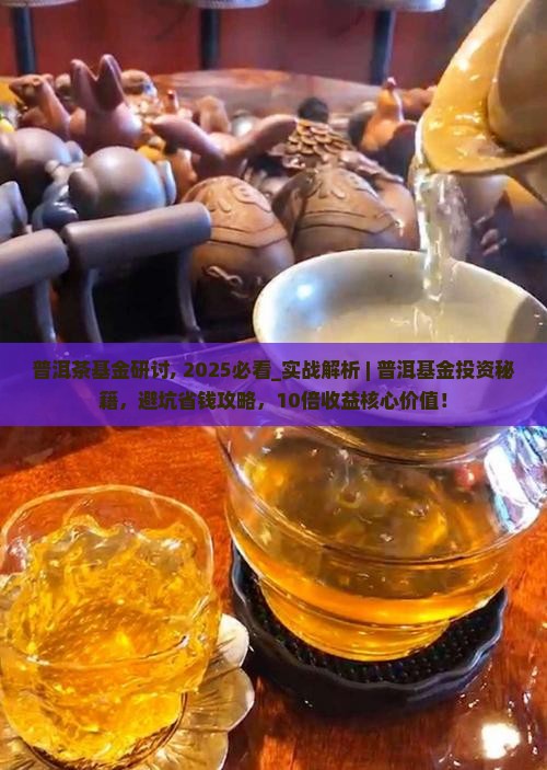 普洱茶基金研讨