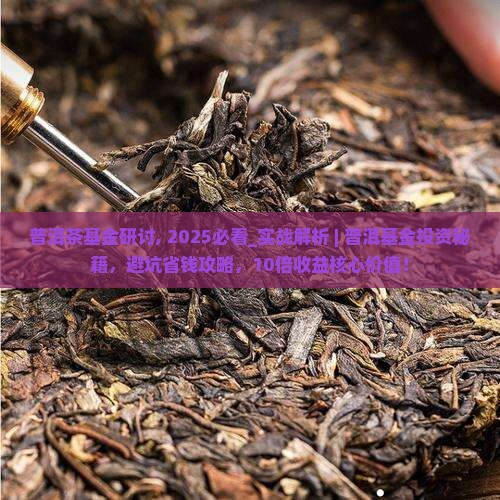 普洱茶基金研讨