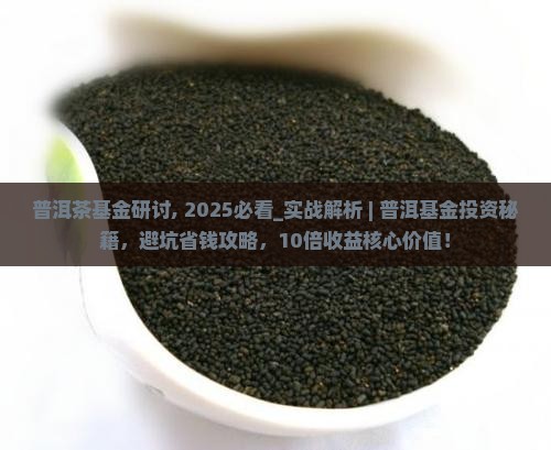 普洱茶基金研讨