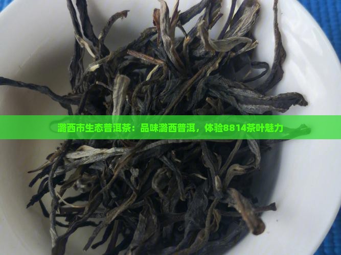 云南潞西市8814普洱茶