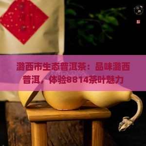 云南潞西市8814普洱茶