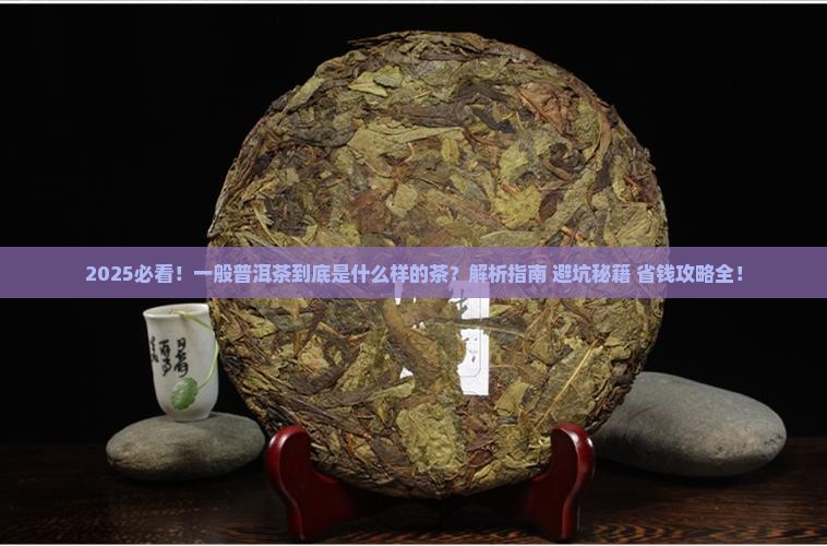 一般普洱茶是什么样的茶