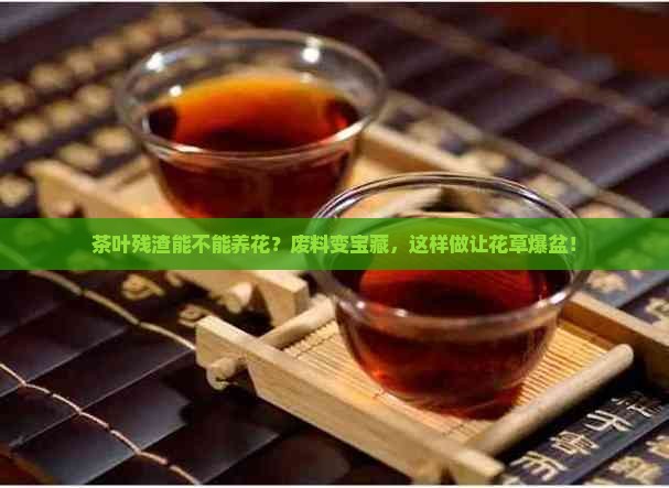 茶叶残渣能不能养花