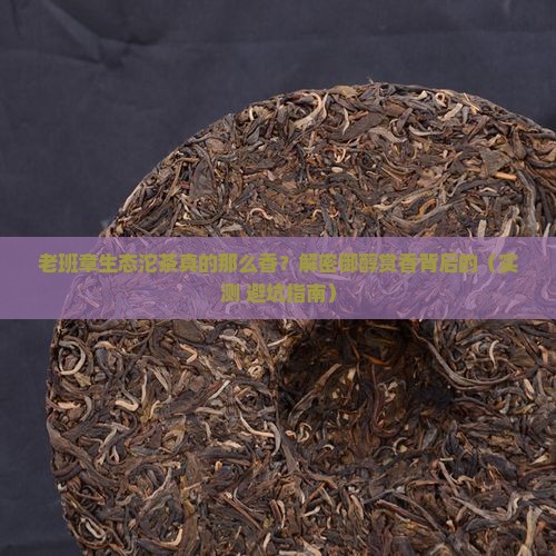 老班章生态沱茶御醇赏香