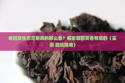老班章生态沱茶御醇赏香