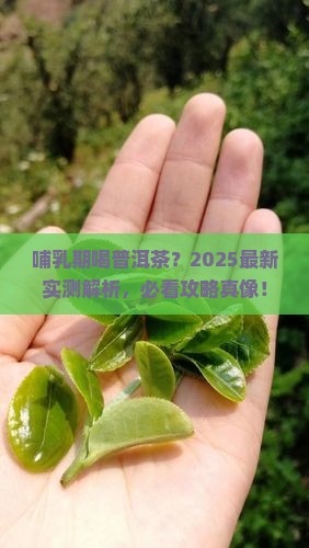 哺乳期女人能喝普洱茶吗
