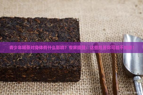 青少年喝茶对身体有什么影响