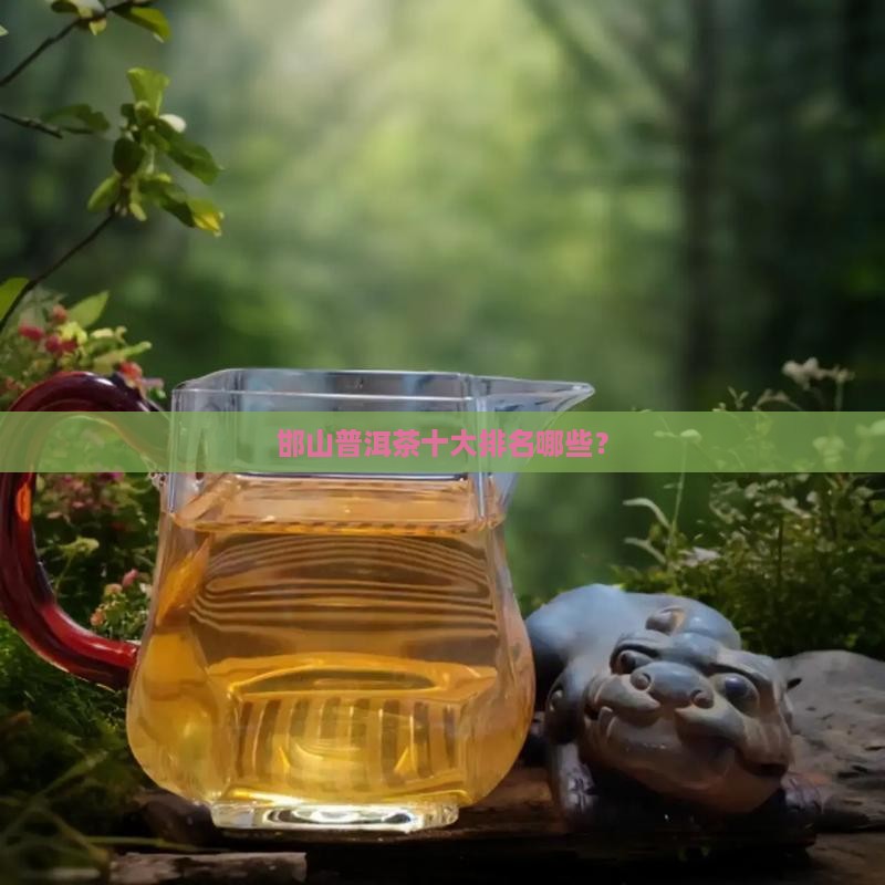 邯山普洱茶排名前十是哪些