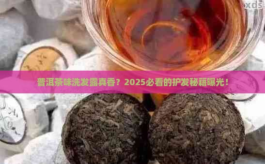 普洱茶味洗发露