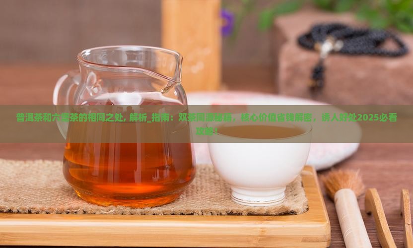 普洱茶和六堡茶的相同之处