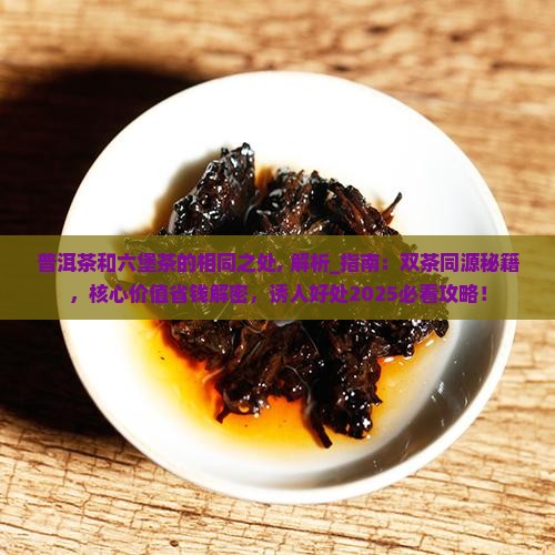 普洱茶和六堡茶的相同之处