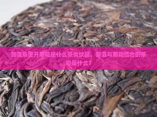 普洱茶里开菊花是什么茶