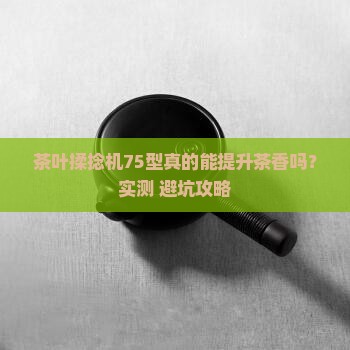 茶叶揉捻机75型