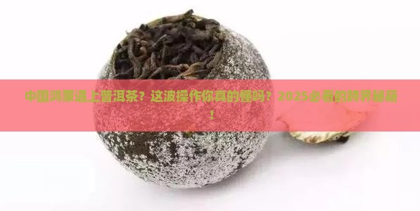 中国鸿蒙普洱茶