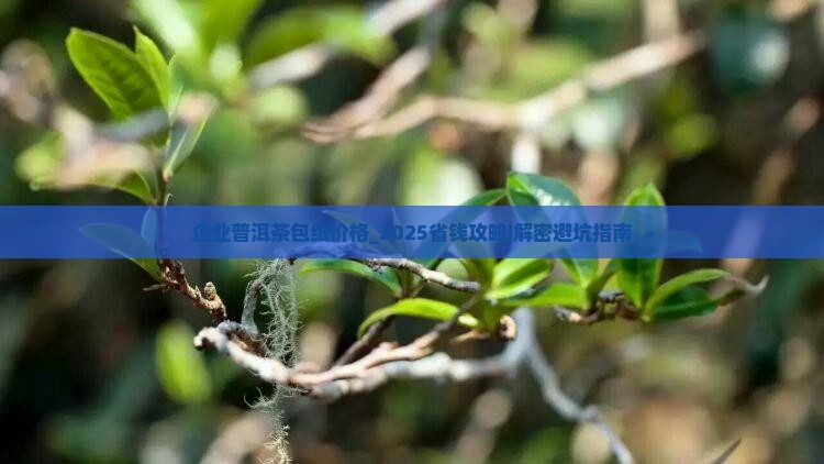 企业普洱茶包纸工厂价格