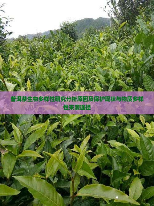 普洱茶生物多样性