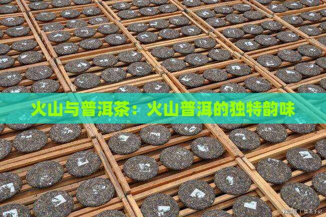 火山韵普洱茶怎么样
