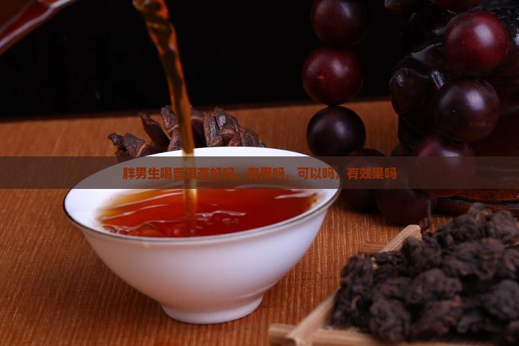胖男生喝普洱茶