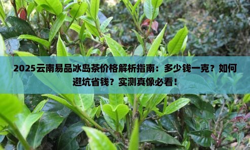 云南易品冰岛茶多少钱一克
