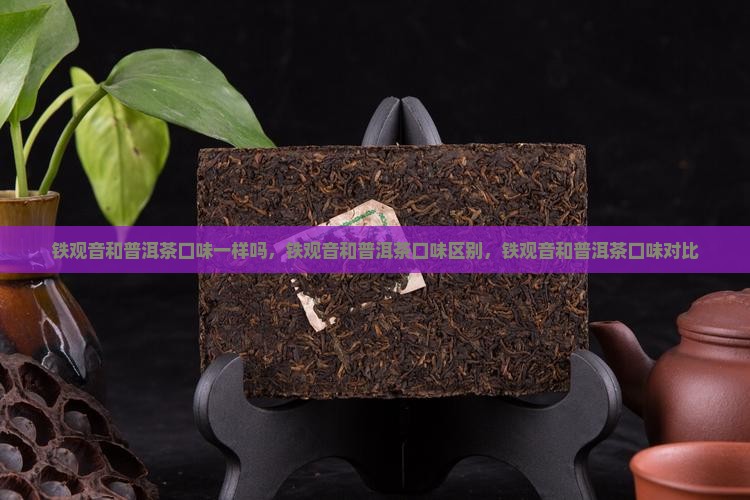 铁观音和普洱茶口味