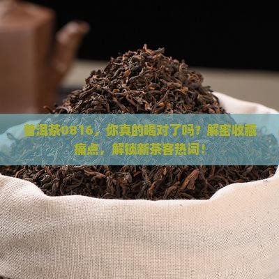 普洱茶编号0816