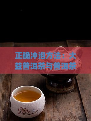 正确泡大益普洱茶