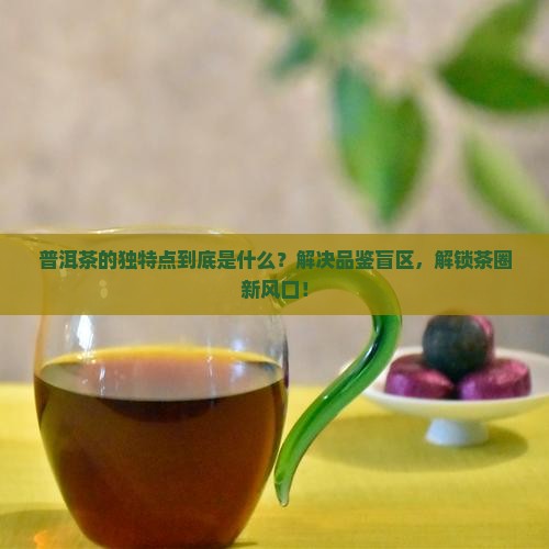 普洱茶的独特点是什么样的