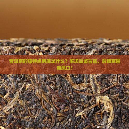 普洱茶的独特点是什么样的