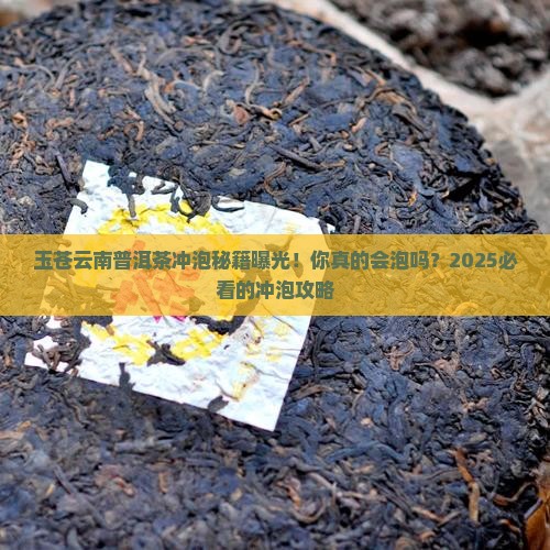 玉苍云南普洱茶冲泡