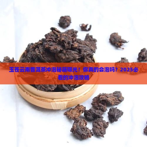 玉苍云南普洱茶冲泡