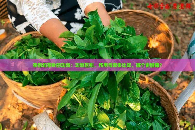 茶包和茶叶的功效