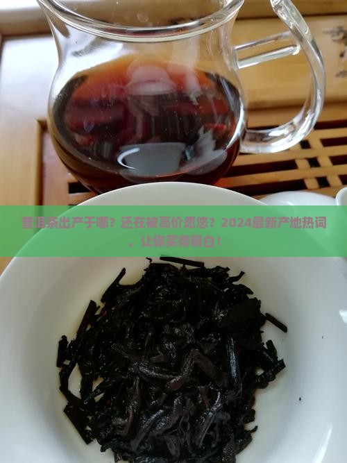 普洱茶出产于哪