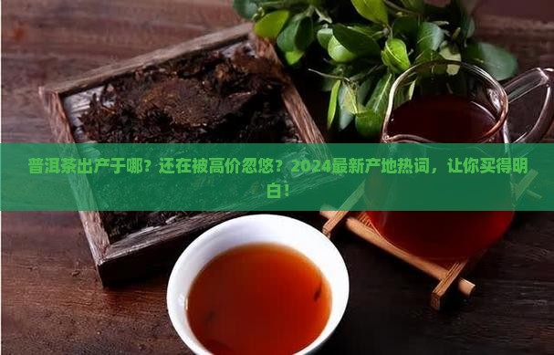 普洱茶出产于哪