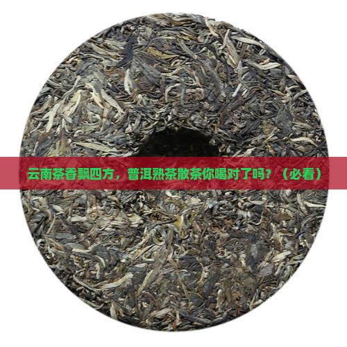 普洱茶熟茶散茶云南茶