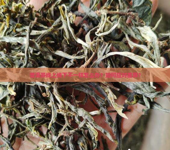 普洱茶线上线下不一样