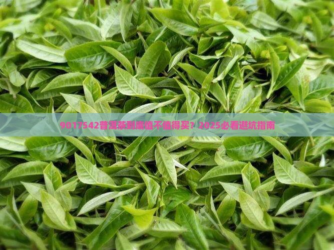 9017542普洱茶