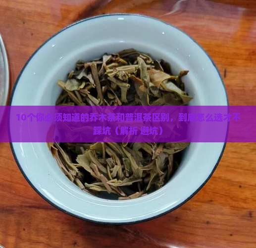什么叫乔木茶和普洱茶