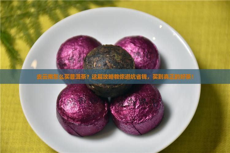 去云南怎么买普洱茶推荐