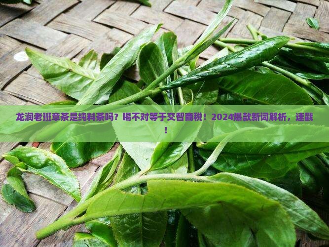 龙润老班章茶是纯料茶吗