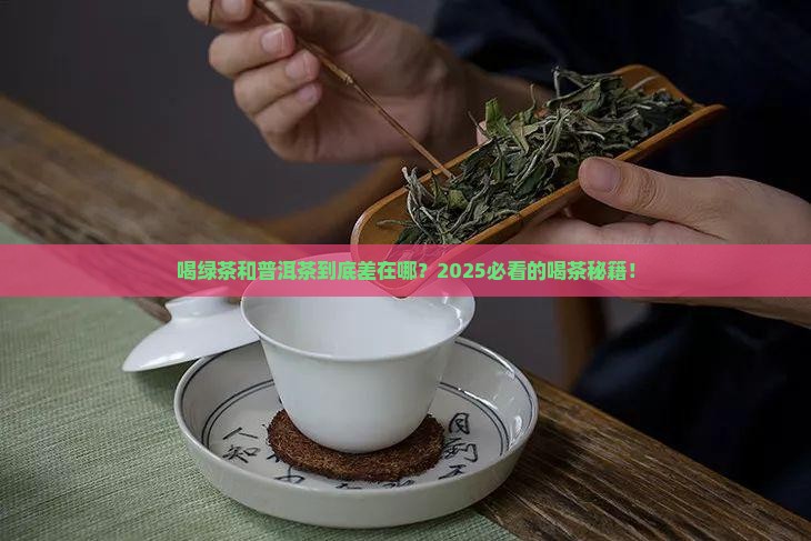 喝绿茶和普洱茶的区别在哪里