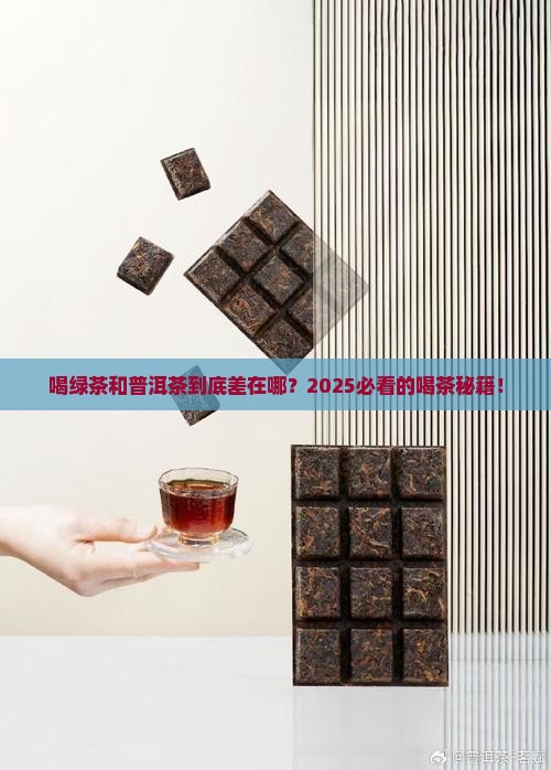 喝绿茶和普洱茶的区别在哪里
