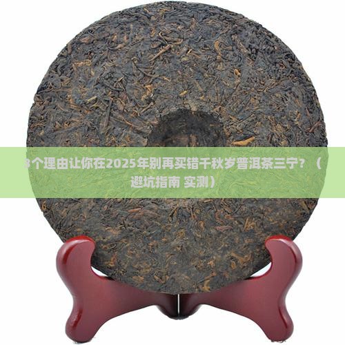 千秋岁普洱茶三宁